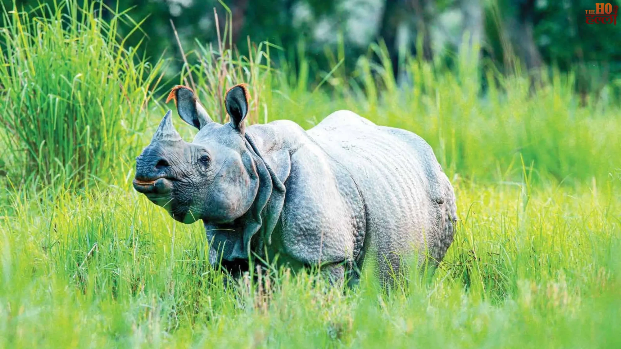 up-eco-tourism-wildlife-projects-dudhwa-ranipur-saras-circuit-yogi-govt (4)