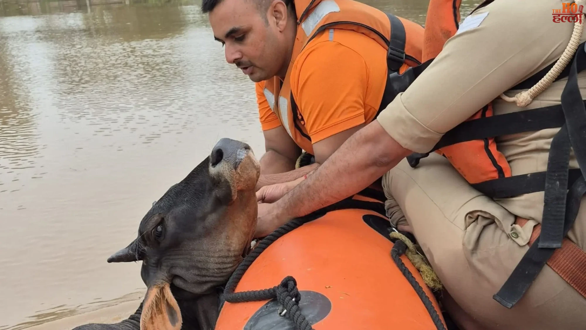 up-flood-news-relief-rescue-operation-23-districts-yogi-govt (3)