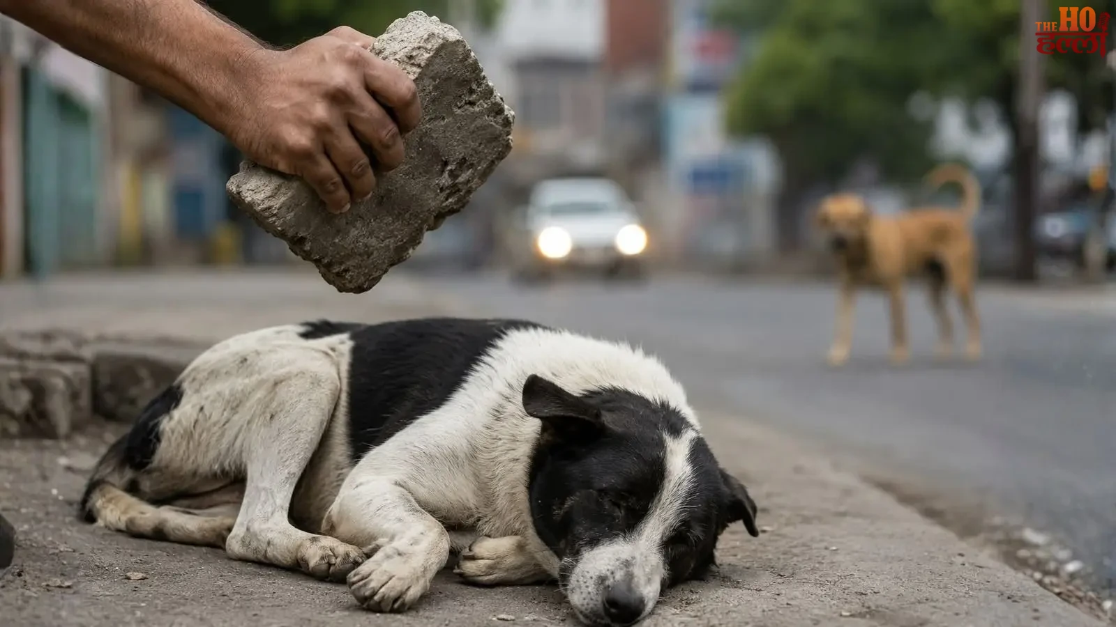 barabanki-kutte-par-hamla-peta-fir