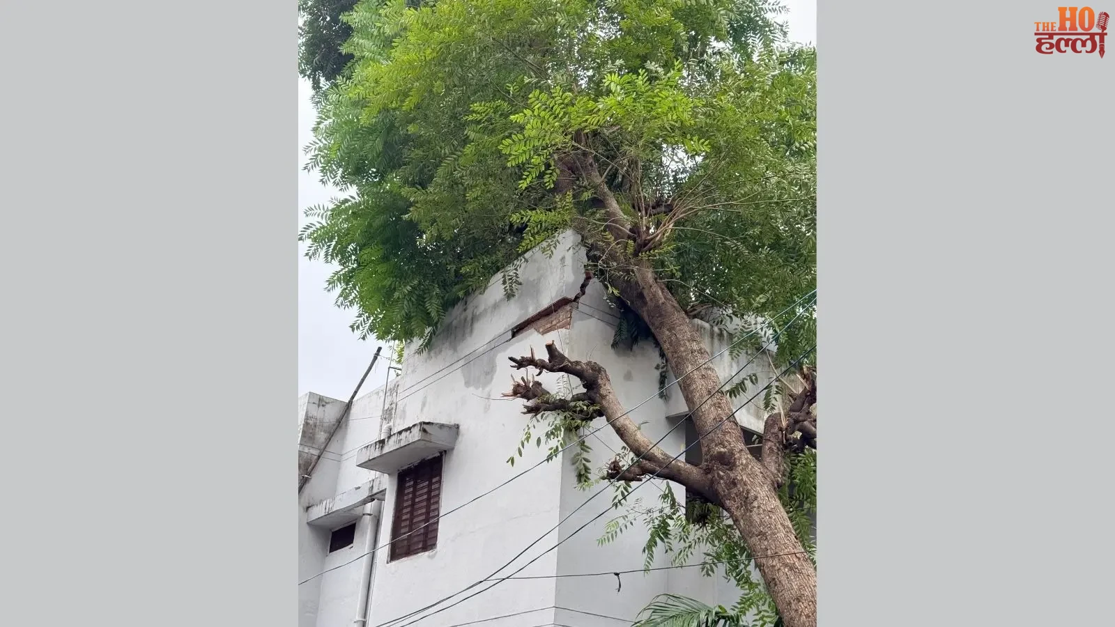 haridwar-storm-hailstorm-crop-damage-dm-mayur-dixit-compensation (2)