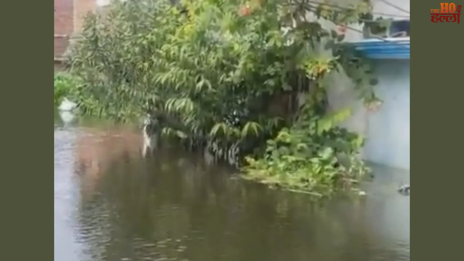 lucknow-flood-faizullaganj-40000-homes-civil-defence-relief (2)