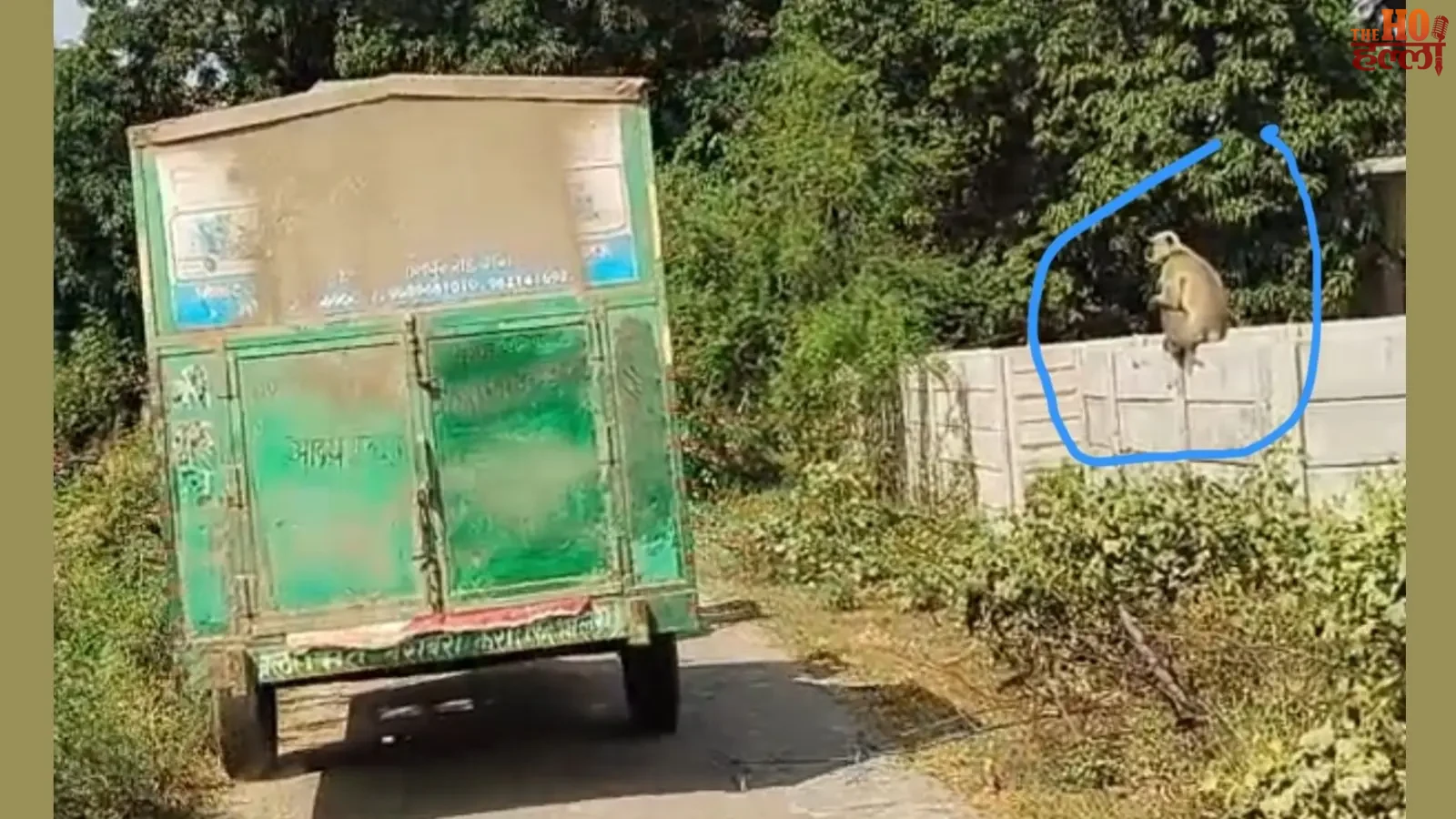 lucknow-nigoha-khatarnak-langur-15-log-ghayal