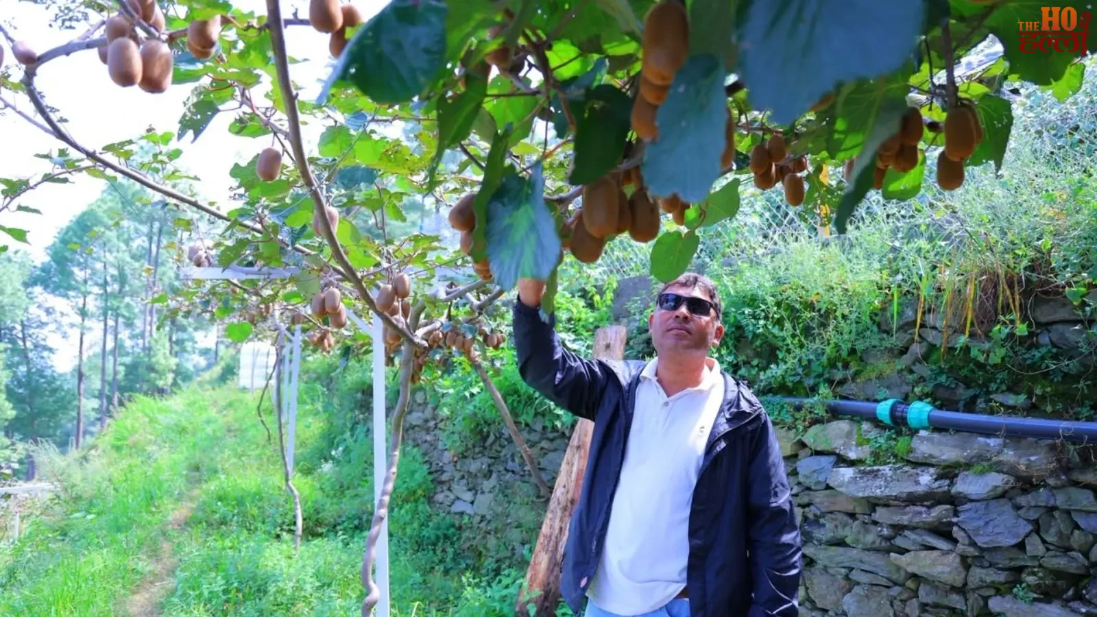 pauri-garhwal-deepak-nautiyal-kiwi-farming-120-women-employment (2)