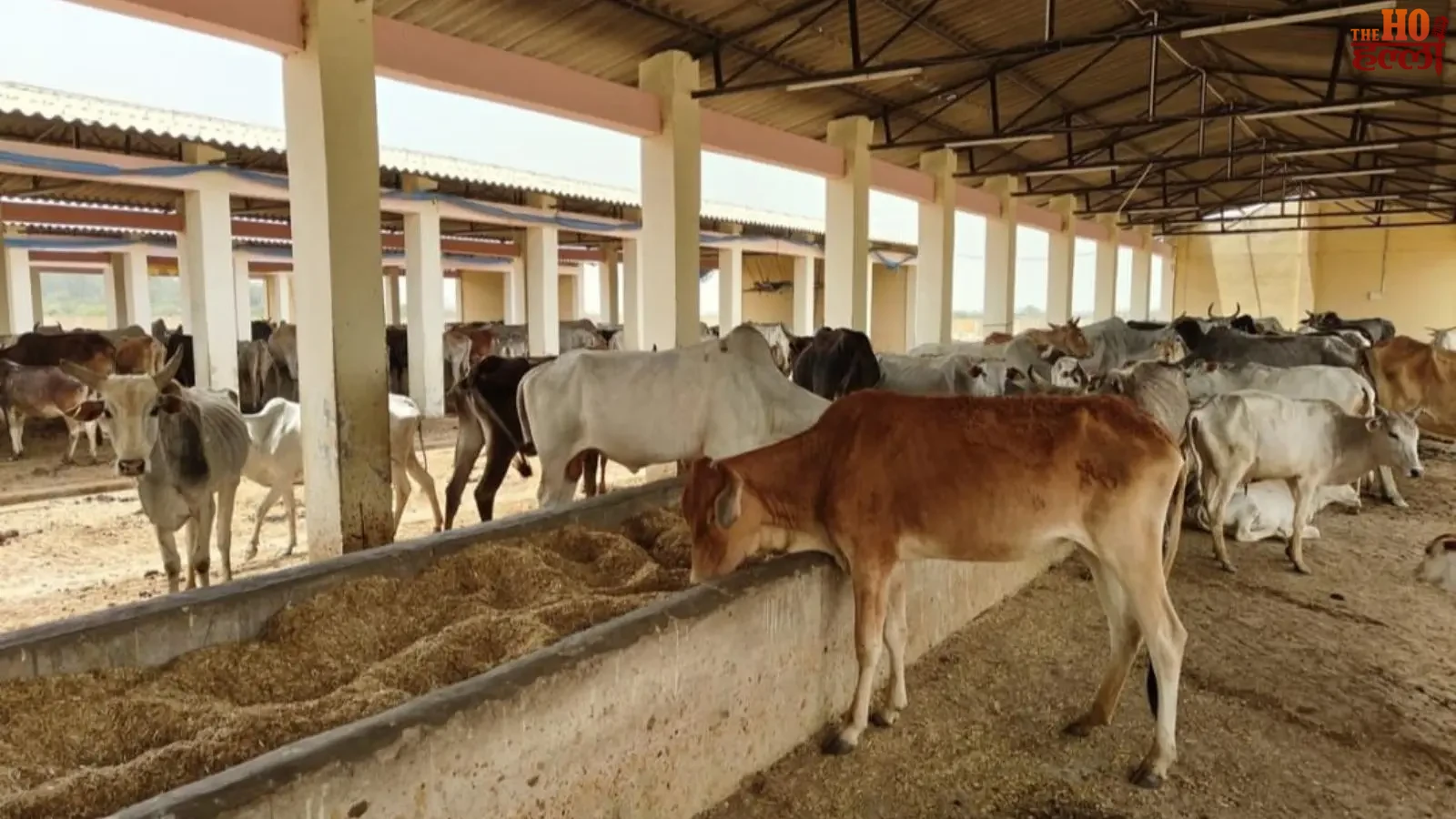 up-natural-farming-pilot-district-lalitpur