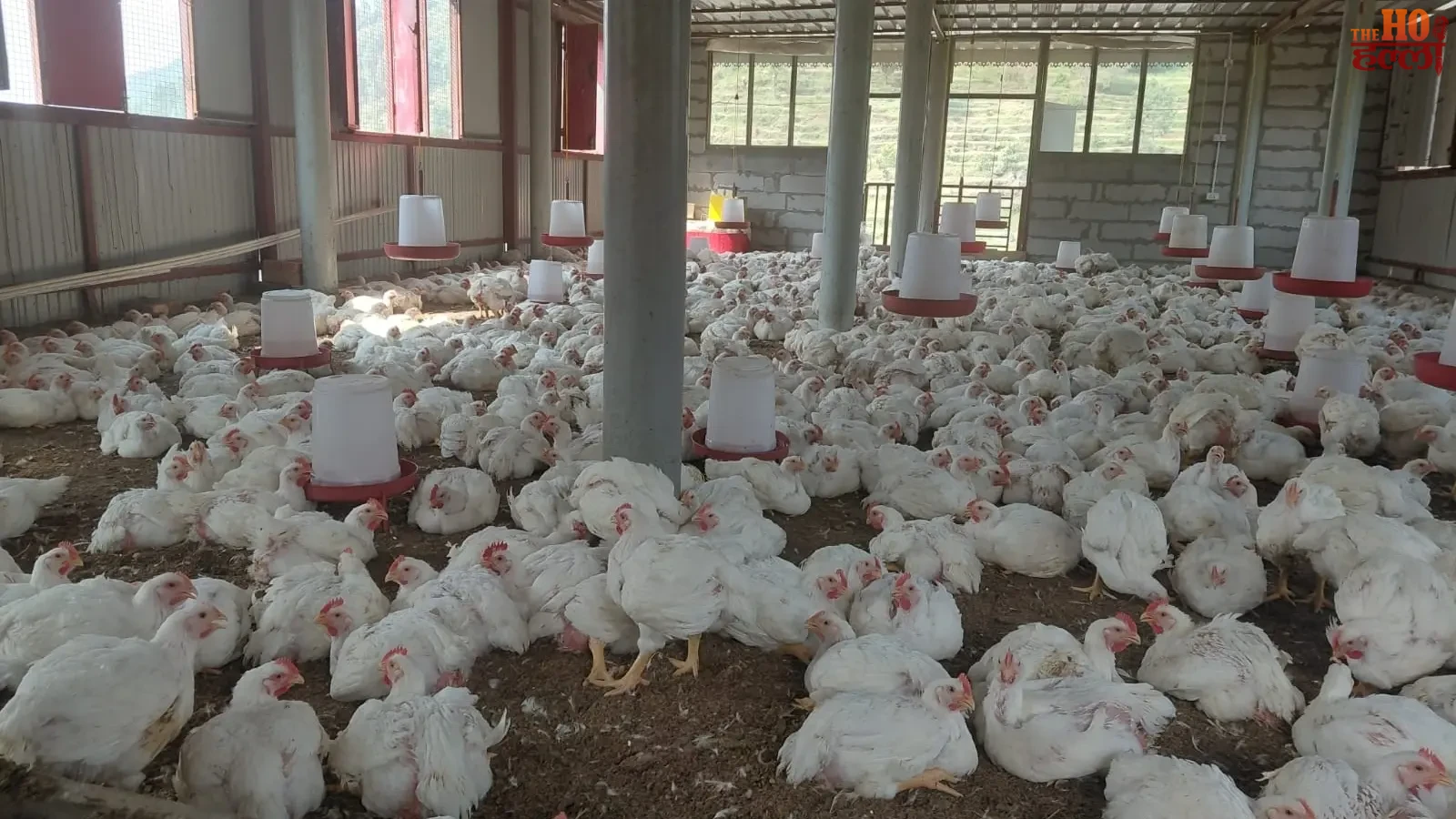 uttarakhand-poultry-farming-diwan-singh-self-employment-pauri-garhwal