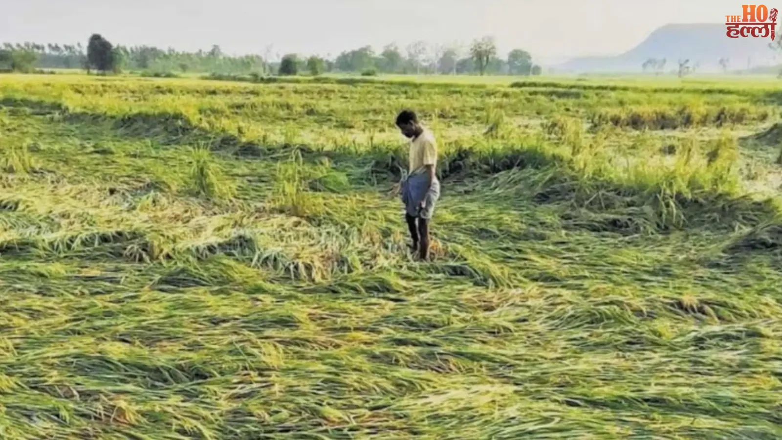 चक्रवात 'अर्णब' के संभावित असर के चलते उत्तर प्रदेश के कई जिलों में 28 से 31 अक्टूबर तक भारी बारिश और तेज हवाओं का अलर्ट जारी किया गया है
